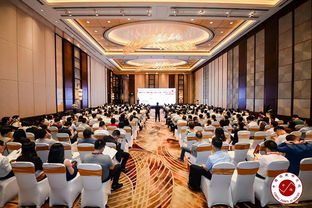 洞察市場，賦能決策 同策房產咨詢股份的房地產咨詢之路