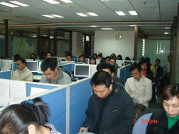 專業賦能，價值共創 廣東美佳聯房地產與土地評估咨詢及房地產經紀服務解析